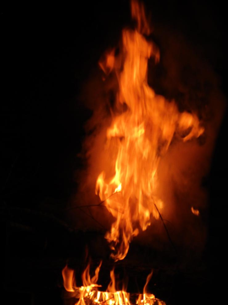 feu 1